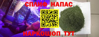 гидра Ачхой-Мартан
