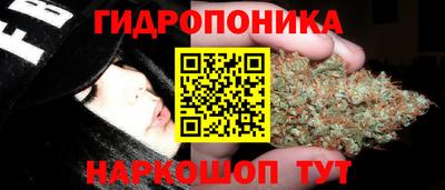 гидра Ачхой-Мартан