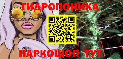 гидропоника Аша