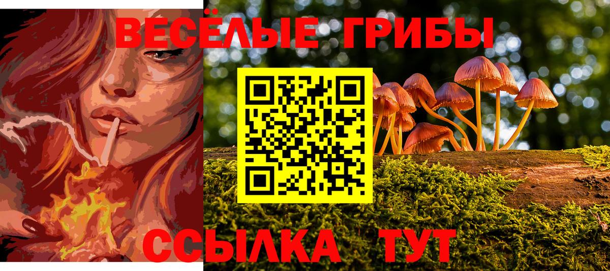 Галлюциногенные грибы прущие грибы Вольск
