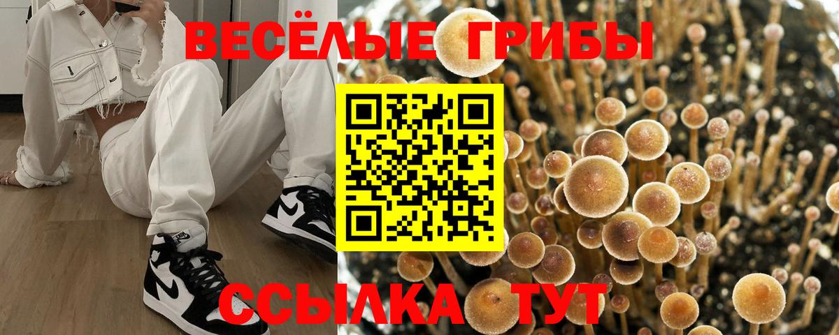 Псилоцибиновые грибы Psilocybe  Вход с VPN  Вольск  Галлюциногенные грибы Cubensis 